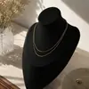 Collar Colgante de Pony Modelo Nuevo 2026 con Acabado de Alta Gama, Cadena Larga, Diseño de Nicho de Lujo Ligero, Cadena para Suéter, Collar de Estilo Dulce y Fresco