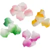 Monocromático Dos Tonos Escarchado Degradado Flor de Pétalo Aretes DIY Colgante Acrílico Personalizado Accesorios para Pasador Venta al por Mayor