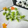 Filme 3D Jasmim Pequeno, Atacado Exclusivo de Flores Artificiais para Exportação, Decoração de Salão de Casamento com Jasmim, Enfeites para Casa, Adereços para Fotografia