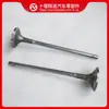 Peças do motor Cummins válvula de escape 2881813 4097624 3641543