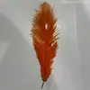 Venda Direta de Fábrica de Penas de Avestruz Sul-Africanas para Decorações de Casamento, Acessórios DIY para Roupas, 20-25cm em Estoque, Penas Naturais Atacado