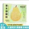 Venta Directa desde la Fuente, Dropshipping, Artículo Popular al por Mayor, Parches Yunnan Herbales para Calmar la Garganta, 6 Parches