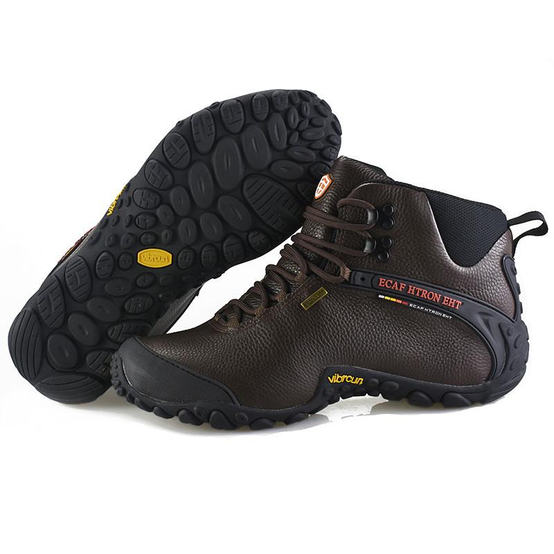 一键复制_20221222110419