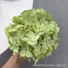 Cabezas de Hortensias Florales Impresas en 3D de 162 Piezas, Flores Simuladas con Impresión de Seda para Bodas, Cabezas de Hortensias Grandes, Verano Infinito