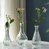 Comercio Exterior Lujo Ligero Retro Jarrón Pequeño Vidrio Repujado Mini Jarrón Transfronterizo Estilo Ins Arreglo Floral Hidropónico Transparente para Sala de Estar