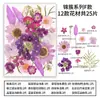 Obra de Arte Collage de Flores Prensadas y Flores Secas Mixtas, Especímenes de Plantas de Flores Reales Prensadas, Kit de Materiales DIY de Flores Secas en Resina Hecho a Mano