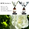 Aromaterapia para el hogar, estilo ins, flores secas con fragancia duradera, fragancia sin llama para baño, habitación y inodoro