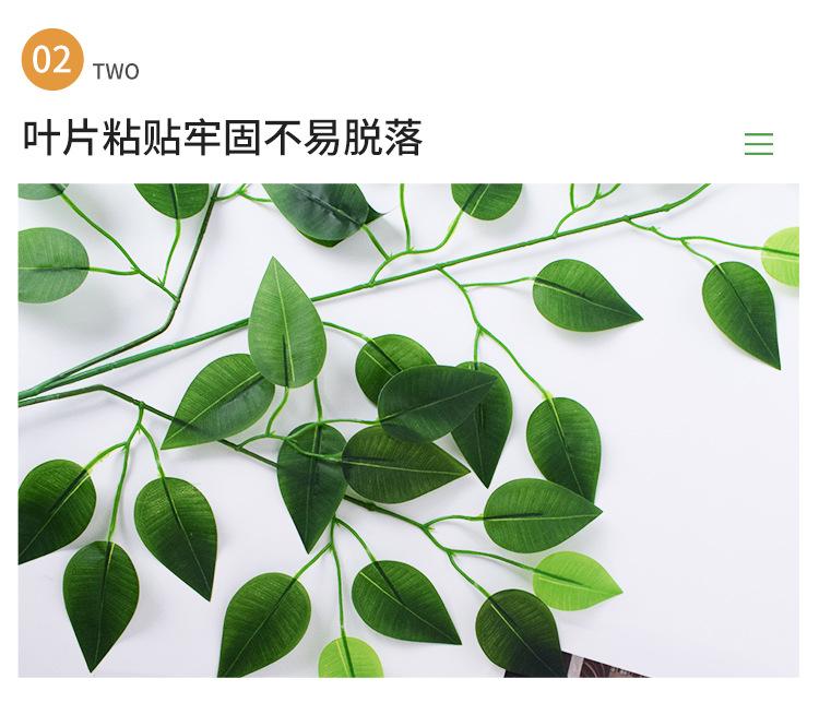 详情仿真绿植_06.jpg