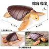 Educación Temprana Cognitiva Mini Set de Modelos de Vida Marina Animales de Simulación Tiburón Delfín Morsa Ballena Pulpo Tortuga