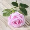 Rosa de Terciopelo Simulado Sola Tacto a Mano Flor Artificial Boda Hogar Decoración Día de San Valentín Ramo de Alta Gama Cascada de Pared