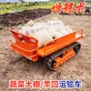 Vehículo de Transporte Agrícola, Camión Pequeño, Diésel-Eléctrico, Potencia Potente, Volquete, Vehículo para Campos de Cultivo, Huertos y Montañas