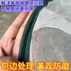 Red de Pesca con Mango de Madera Maciza para Limpieza de Estanques, Red Engrosada de 100 Mallas para Capturar Camarones, Alevines y Larvas de Peces en Granjas Piscícolas