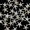 Estrella de Mar Dorada Perlada de ABS Estampada con Estrella Adorno Colgante para Coche Cadena de Teléfono Pulsera DIY Accesorios de Cuentas Venta al por Mayor para Transmisión en Vivo