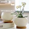 Maceta de cerámica de una pieza para el cabello, extragrande, ligera, de lujo, estilo Ins, de alta calidad, para el hogar, con flores carnosas de Phalaenopsis.