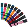 Productos para mascotas transfronterizos de Amazon. Collar para mascotas. Collar de tracción para perros. Collar de viaje ajustable.