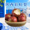 Pera Arco-Íris Rara de Shaanxi, envio direto 5 / 4,5kg Caixa colorida, fruta grande, crocante, doce, suculenta, peras frescas da estação, fruta fresca