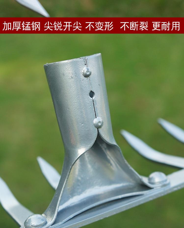 未标题-1_12.jpg