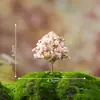 Musgo Micro-Paisaje Árbol de Navidad Artificial Flor Artificial Flor de Cerezo Decoración DIY Accesorios Jardinería Paisajismo Adornos Pequeños