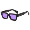 Nuevas Gafas de Sol de Moda Cuadradas Estilo Americano, Marco Pequeño, Retro Clásico, Geniales, Populares para Shows de Influencers y Fotografía Callejera