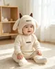 2026 Chifres de Ovelha Fofinhos Outono e Inverno Quente Bebê Unissex Criança Pequena Proteção Auricular Universal Gorro de Tricô Super Adorável