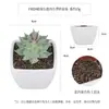 Más de 100 Tipos de Combinaciones de Plantas Suculentas Artificiales en Maceta Mini, Ventas Transfronterizas Populares, Estilo Sencillo Decoración del Hogar Flores Artificiales y Plantas Verdes, Directo de la Fábrica Fuente