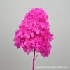 Pagoda de Hortensias de Madera Hortensia Anna Flor Inmortal Flor Seca Decoración del Hogar Arreglo de Boda Hecho a Mano DIY Material de Flores