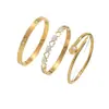 Elegante y Sencillo Popular Europeo y Americano Francés Elegante Ins Moda Corazón Circonita Set de Pulseras Elegante Pulsera de Acero de Titanio