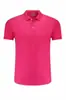 Camisa tipo polo de secado rápido hecha a medida para empleados 180g polo de alta F camisa Paul bordado para OEM