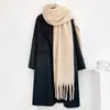 Cachecol de Lã Mohair Liso para Outono e Inverno para Mulheres, Estilo Coreano, Moderno, Versátil, Engrossado, Quente, Cachecol com Franjas, Xale para Mulheres, Atacado