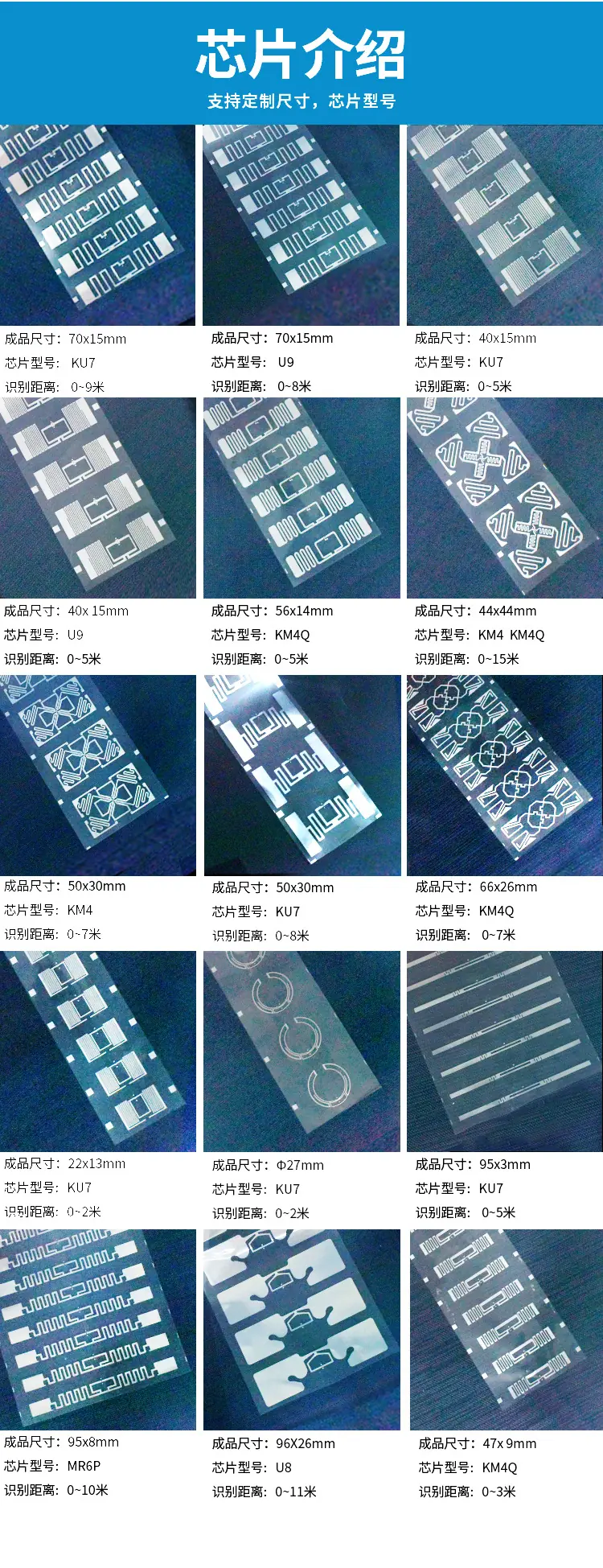 干标签集合_07.jpg