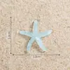 Concha Estrella de Mar de Cristal Accesorios Paisaje Marino Micro Paisaje Resina DIY Mini Adornos Planos Carcasa de Teléfono Móvil Joyería