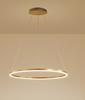 Lustre de Sala de Estar Anel Atmosférico 2025 Lustre de Círculo para Hall de Restaurante Lustre de Jantar Simples Moderno Discreto Lâmpadas de Luxo Acessível