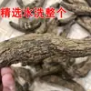 Scrophulariaceae, Ginseng Ouro Negro, Guyuanshen, Atacado Uma Peça, Grande Quantidade, Preço Favorável