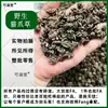 Hierba de Uña de Gato Medicina Tradicional China Hierba Gatera MTC MTC Silvestre Lavada con Agua Productos Frescos Secos Hierba de Melón Gato Envío Gratis