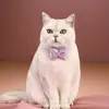 Nuevo Collar de Mascota de Doble Capa con Lazo de Perla 3D, Antiahogo, Lindo y Adorable Colgante de Corazón para Mascota, Antiperdida