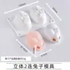 Conjunto de Moldes de Cola Epóxi AB de Cristal para Patas de Gato Materiais DIY Feitos à Mão Conjunto Completo para Desmoldagem Cola de Resina Epóxi