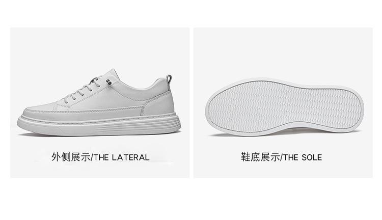 01-02-2_16.jpg?x-oss-process=image/format,png