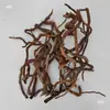 Ramas de Raíz de Azalea con Piel, Ramas Parcialmente Peladas, Madera a la Deriva, Tanque de Hierba, Material de Paisajismo para Esqueleto de Selva Tropical de Reptiles