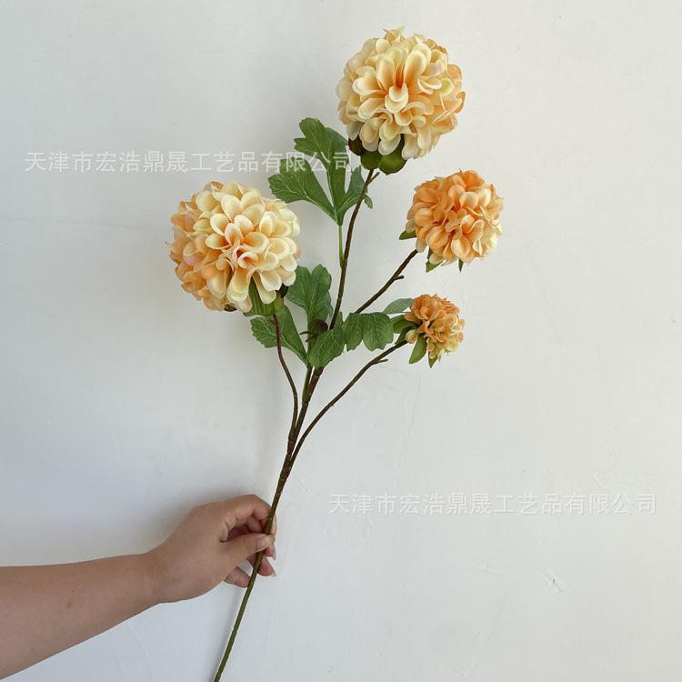 微信图片_202208311113225_副本