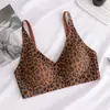 Sujetador de encaje sin costuras con estampado de leopardo para mujer, sin varillas, anti-flacidez, cierre trasero ajustable, estilo europeo, sujetador de espalda bonito