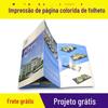 Impressão de fábrica personalizada dmsingle página a4 página colorida personalizada design de publicidade brochura empresarial cor tri-fold página manual