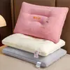Almohada Núcleo para la Salud del Vientre de Gato Modelo Nuevo 2026