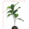 Hojas de Higuera Simuladas de Alta Calidad para Paisajismo de Ingeniería, Hojas Artificiales de Higuera para Sala de Estar, Decoraciones de Plantas Verdes Simuladas, Venta al por Mayor de Plantas Artificiales de Fabricante