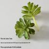 Suculentas Artificiais Cuidadosamente Selecionadas, Decorações de Plantas Verdes, Combinação de Mini Enfeites de Cactos, Bonsai de Suculentas em Vaso