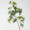 Planta verde de simulación de alta gama, hoja de Elemene de una sola rama, reloj colgante, hoja de Ma borracho, decoración del hogar, flores falsas, accesorios de fotografía, paisajismo