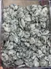 Transfronterizo 18*25mm Piedra Natural Cristal Ágata Plano Colgante de Gota de Agua Accesorios para Joyería DIY Colgante Venta Caliente en Europa y América