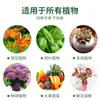 Estimulante Líquido de Raiz para Plantas, Agente Universal de Enraizamento Rápido para Suculentas, Árvores da Fortuna e Flores, Poderoso Agente de Enraizamento e Fortalecimento de Mudas
