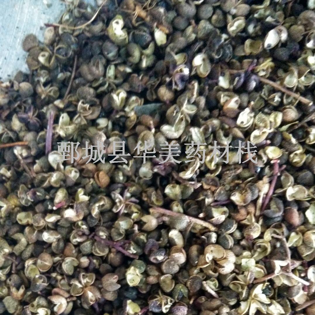 QQ图片20170329233340