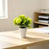Paisaje en Miniatura 5 Claveles Artificiales Planta en Maceta Pequeña Maceta Imitación Helado Flores Falsas Lindas Mini Bonsái Decoración de Escritorio