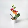 Dos orquídeas Phalaenopsis artificiales, una grande y una pequeña, hechas de plástico de tacto suave, adecuadas para decoración de fotografía de bodas en macetas pequeñas